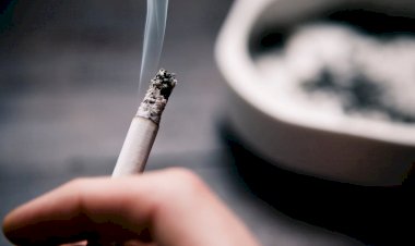 أزمة السجائر تعود من جديد داخل مصر.. ارتفاع حاد في الأسعار