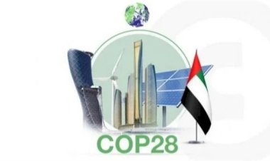 خبير بالأمم المتحدة : الإمارات بذلت جهودا كبيرة نحو التحول باتجاه الاقتصاد الأخضر