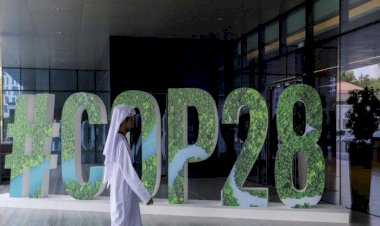 بعد إطلاق سوق استثماري.. الإمارات تتحول لمركز عالمي في مواجهة تغيرات المناخ