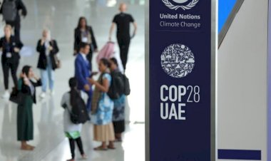 القارة الإفريقية.. المستفيد الأهم في كوب 28