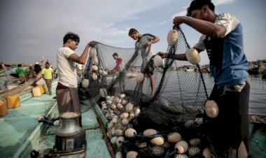 صيادون يمنيون يفرون من البحر الأحمر بسبب هجمات الحوثيين