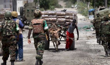 الإمارات تدعم إعادة استقرار الصومال.. وتتصدى لهجوم الحركات الإرهابية على قواتها