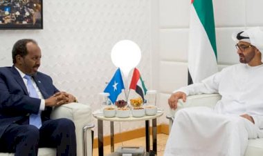 الدعم الإنساني الإماراتي للصومال.. كيف كان طوق النجاة للملايين؟