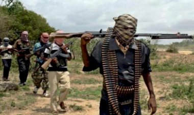 خبير في شؤون الجماعات الإرهابية: الدعم الدولي والإقليمي يلعب دورًا هامًا في مواجهة حركة الشباب