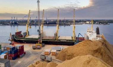 زراعة الحبوب تزدهر في أوكرانيا مرة أخرى.. هل تحل أزمة الغذاء في العالم؟