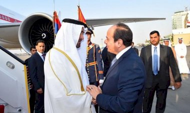 دلالات زيارة الشيخ محمد بن زايد لمصر.. تحالف تاريخي ورؤية مستقبلية