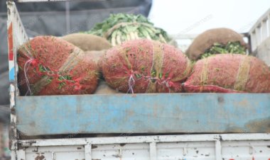 في العيد.. الآلاف في غزة يواجهون المجاعة وشاحنات المساعدات تصطف في مصر