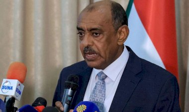 من هو وزير الخارجية السوداني المقال على الصادق؟