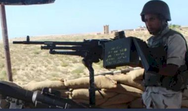 لماذا يهاجم الإخوان اتحاد القبائل العربية في مصر ؟