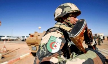 الجزائر.. لا إرهاب بعد اليوم.. الجيش يوقف 16 عنصرًا من الإرهابيين