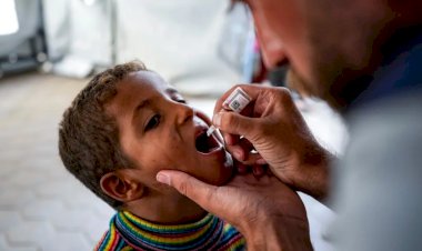 نيويور تايمز: غزة تقتنص قبلة حياة جديدة بحماية أطفالها من الشلل