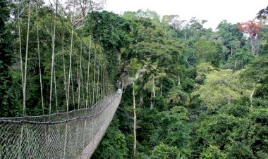 في خطوة لإنقاذها من تغيرات المناخ.. الإمارات توقع شراكة مع غانا بقيمة 30 مليون دولار