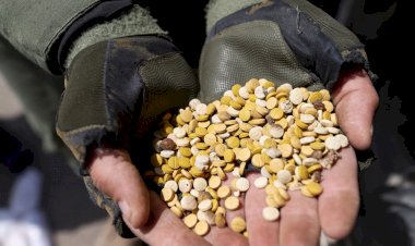 حرب المخدرات على الحدود السورية الأردنية.. تجارة الكبتاجون تهدد استقرار المنطقة