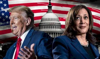 الانتخابات الأمريكية وتأثيرها على الصراعات العالمية.. من الشرق الأوسط إلى أوكرانيا