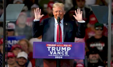 بالمجمع الانتخابي وليس الأصوات الشعبية.. كيف يتم اختيار الرئيس الأمريكي؟