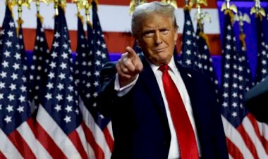 تعرف على فريق ترامب الرئاسي.. والتز مستشارًا للأمن القومي وماركو روبيو يقترب من حقيبة الخارجية