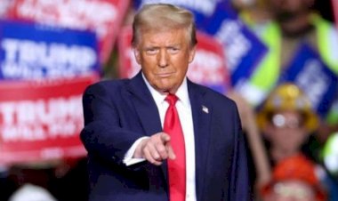 كيف يمكن أن يؤثر اتفاق كوب 29 على انتخابات الرئاسة الأمريكية القادمة؟