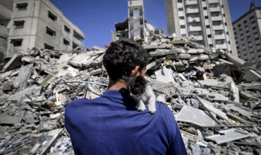 هدنة غزة على المحك.. إسرائيل تناور لتجنب السلام وحماس ترفض الإملاءات