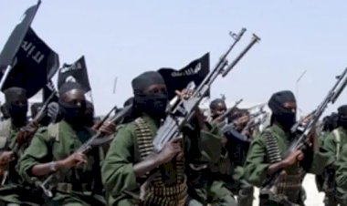 خبير في شئون الجماعات الإرهابية: حركة الشباب تمثل تهديدًا عابرًا للحدود في القرن الإفريقي