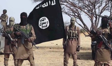 خبير في شؤون الجماعات الإرهابية: الإخوان الحاضنة الفكرية لداعش والتنظيمات المتطرفة