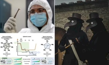 بعد قرون من الذُعر والغموض.. علماء يكشفون سر الموت الأسود