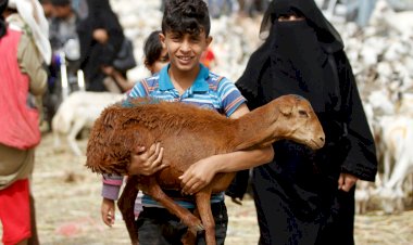 أضاحٍ تُعطَّر وتُحمَّم.. وأطفال يُلقونها في البحر.. طقوس عيد الأضحى التي لن تُصدقها!