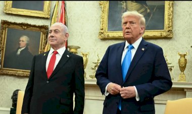 ترامب: هدنة مؤقتة في غزة لمدة 60 يومًا.. وردّ قاسٍ على حماس