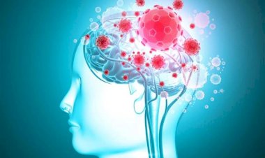 الالتهاب السحائي.. الخطر الصامت حول الدماغ والنخاع الشوكي