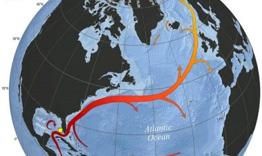 تيار الخليج يقترب من الانهيار.. تحذير علمي من تجمّد أوروبا وتغيرات مناخية كارثية