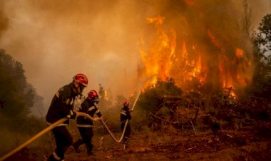 حرائق سوريا مستمرة لليوم الرابع رغم السيطرة على معظمها