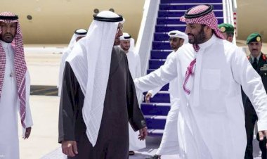 خبير إماراتي: لقاء  قادة الإمارات والسعودية يؤكد توافق الرؤى بين البلدين