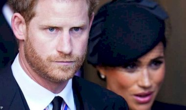 بعد 20 شهرًا من القطيعة.. الأمير هاري يلتقي بالملك تشارلز