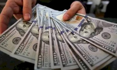 الدولار يحافظ على استقراره أمام العملات العربية الثلاثاء 16 سبتمبر