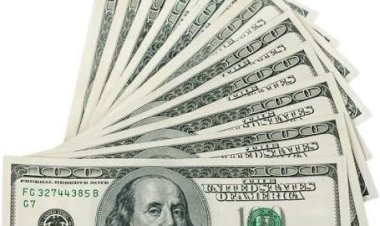 استقرار العملات العربية أمام الدولار الأمريكي السبت 20 سبتمبر