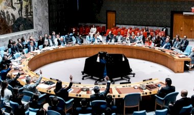 الفيتو الأمريكي في مجلس الأمن يكشف عزلة واشنطن الدولية.. تفاصيل عرقلة قرار إنهاء حرب غزة