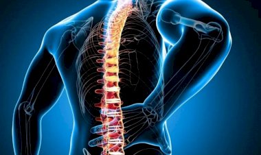 الانزلاق الغضروفي.. من الأعراض إلى العلاج والوقاية