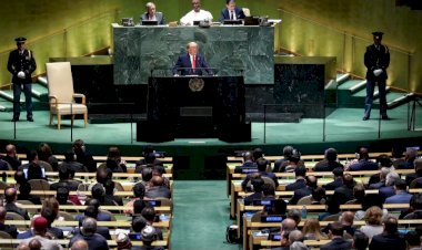 بينها مصر والإمارات.. ترامب يستعد لعقد قمة مع الزعماء العرب في نيويورك