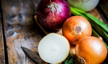 فوائد البصل لمرضى السكري.. غذاء صحي لتعزيز التحكم في مستويات السكر ودعم الصحة العامة