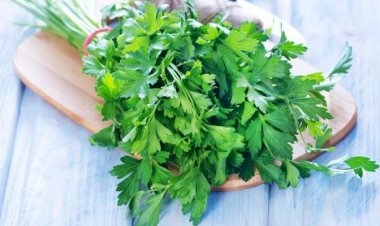 البقدونس والحمل.. ماذا يجب أن تعرفي قبل تناوله؟