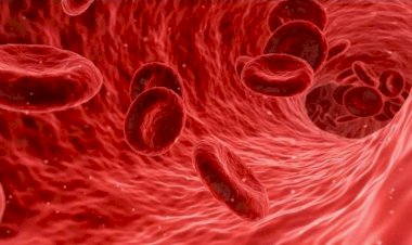 تأثير كبير على أجهزة الجسم.. تعرف على أضرار نقص الحديد في الجسم