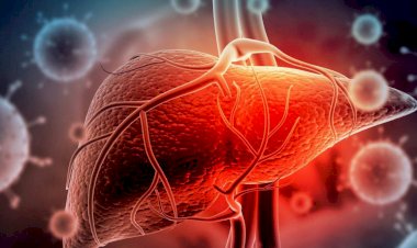 التهاب الكبد الوبائي.. الأنواع الأعراض والعلاج