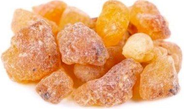 فوائد شرب منقوع لبان الذكر على الريق.. علاج طبيعي لجسمك وبشرتك