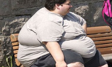 تقرير صحي.. نصائح غذائية وعادات فعالة لعلاج السمنة