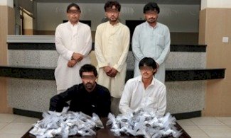 مافيا تميم.. 