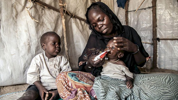 أكثرهم في اليمن وأفغانستان.. 180 مليون شخص مهددون بالمجاعة في 2022