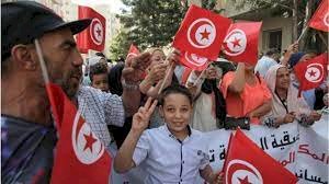 خبراء توانسة يكشفون: مخططات الإخوان ستبوء بالفشل.. والشعب صاحب الكلمة الأخيرة