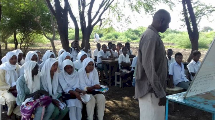 كيف يواجه الطلاب في السودان كوارث الحرب المستمرة؟