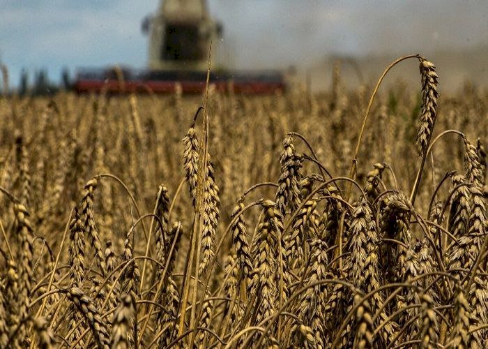 بعد تفاقُم الصراع الروسي الأوكراني.. أزمة غذاء عالمية كبرى تلوح في الأفق