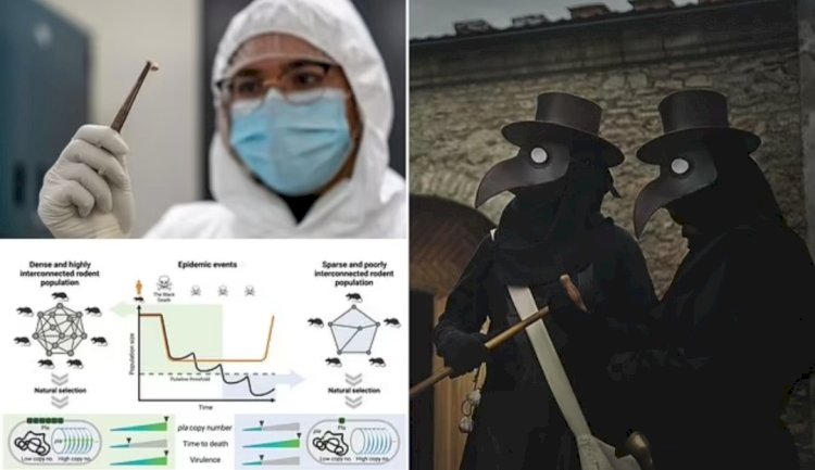 بعد قرون من الذُعر والغموض.. علماء يكشفون سر الموت الأسود