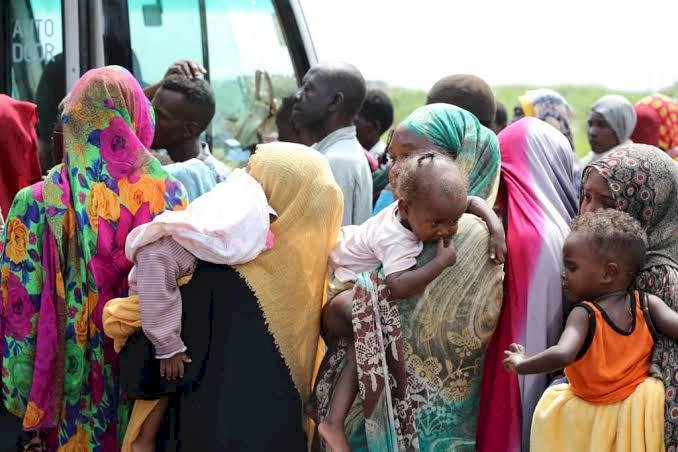 محلل سياسي: تدهور الوضع الإنساني في السودان يكشف فشل المجتمع الدولي في حماية المدنيين